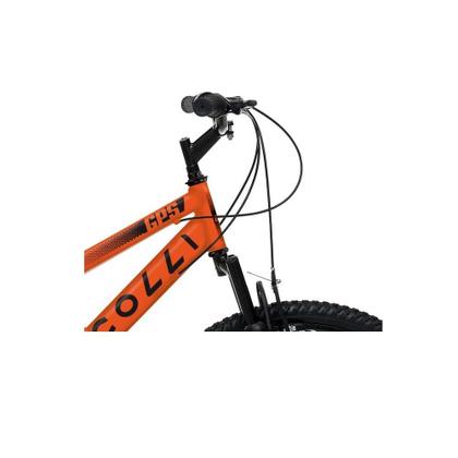 Imagem de Bicicleta Aro 26, 21 Marchas GPS 148 Colli