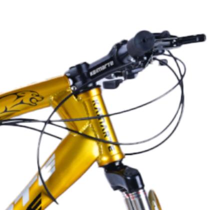 Imagem de Bicicleta Aro 26 Aço Carbono Bike 21V Roda Magnésio Leopard