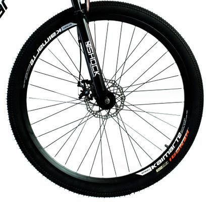 Imagem de Bicicleta Aro 29 Bike 21 Vel Marchas Everest Freio a Disco Quadro Alumínio Leve Resistente Cor Branco/Preto - WCT FITNESS