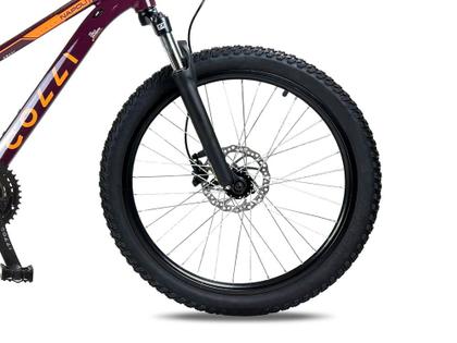 Imagem de Bicicleta Colli Napoli Sport Aro 24