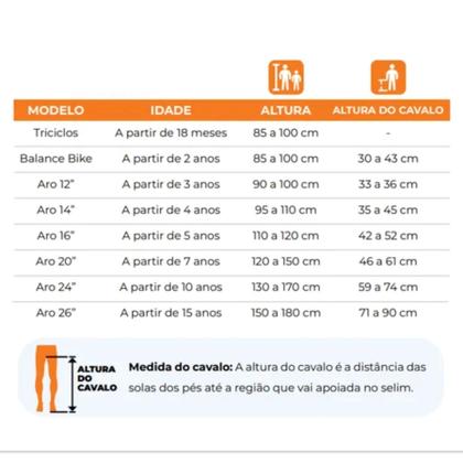 Imagem de Bicicleta Infantil Aro 12 Cecizinha Nathor - 100150160020