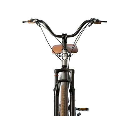 Imagem de Bicicleta Urbana Blitz Terral Beach-cruiser Aro 29 Shimano 21V 