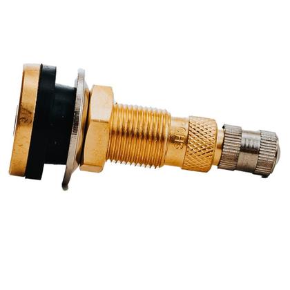 Imagem de  Bico Para Pneu Agricola Tr-618A em Latão FNT-1060 Fiontar