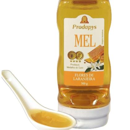 Imagem de Bisnaga 300g de Mel Flores de Laranjeira Kit com 3