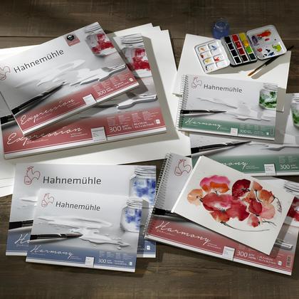 Bloco Aquarela Hahnemühle Harmony 300gr A4 Textura Rugosa com Espiral 12 Folhas - HAHNEMUHLE Imagem de Bloco Aquarela Hahnemühle Harmony 300gr A4 Textura Rugosa com Espiral 12 Folhas