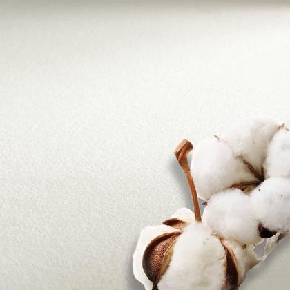 Imagem de Bloco Hahnemuhle The Collection Sketch 100% Algodão A3 Grande 30 Fls.