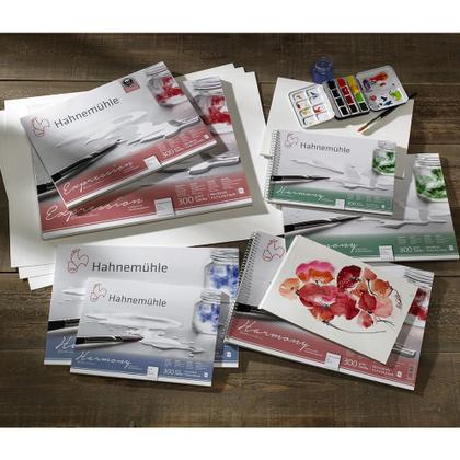 Imagem de Bloco Harmony Watercolour 30x40cm Hot Pressed 300g/m 12 folhas Hahnemuhle 10628765