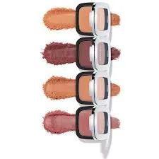 Imagem de BLUSH RETINOL COR TERRACOTA PAYOT 6g