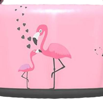 Imagem de Boia Sea Float Flamingo Beach 10-25Kg Rosa