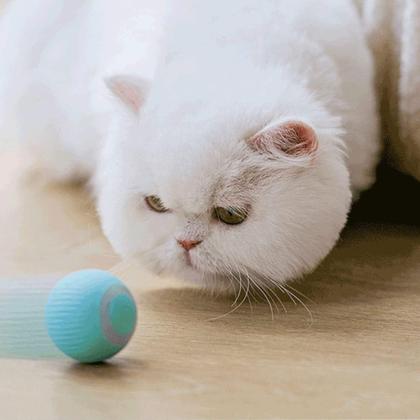 Imagem de Bola Inteligente Giratoria Gato Felino Pet Animal de Estimaçao Domestico Usb Bateria Recarregavel Brinquedo Bolinha Smart Portatil Silicone Anti Estre