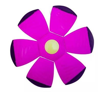 Imagem de Bola Mágica Disco Voador Brinquedo Ao Ar Livre Bola Maluca para Crianças e Pet Rosa