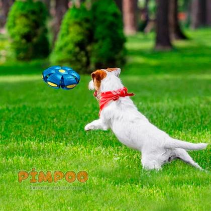 Imagem de Bola Maluca Brinquedo Pet Disco Voador Cachorro Bola Mágica