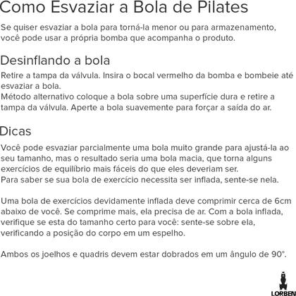 Imagem de Bola para Pilates exercícios suporta até 150kg Cor Roxo GT351-PU - Lorben