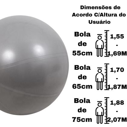 Imagem de Bola Suíça Ginástica Pilates Com Bomba Vollo 55cm