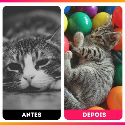 Imagem de Bolinhas De Piscina Coloridas Pacote Com 200 Bolinhas - BG Brinquedos