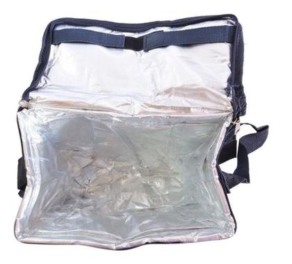 Imagem de Bolsa Térmica Comida Bebidas Marmita Fitness 8 Litros