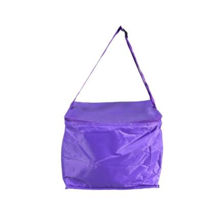 Imagem de Bolsa Térmica Em Poliéster com Alça 15,5L - Bel Fix