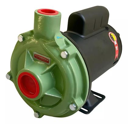 Imagem de Bomba Centrífuga Schneider 1,0cv 127/220v Motor Weg