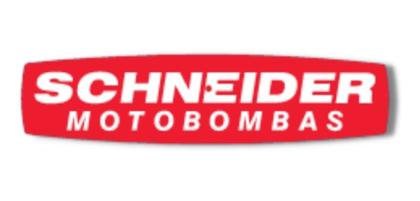 Imagem de Bomba Centrifuga Schneider Motor Weg 3,0cv 127/220v