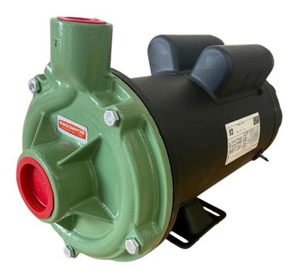 Imagem de Bomba Centrifuga Schneider Motor Weg 3,0cv 127/220v