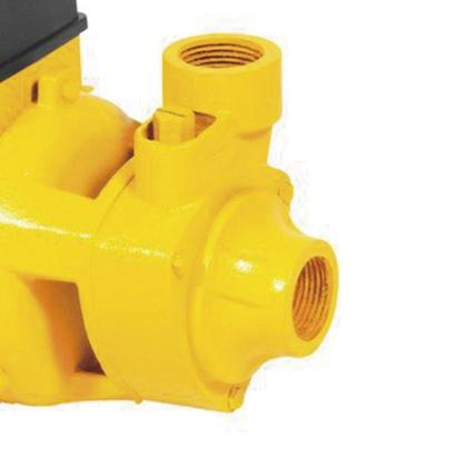 Imagem de Bomba D Água Periférica BPV750 1CV 110/220V com Chave Seleto