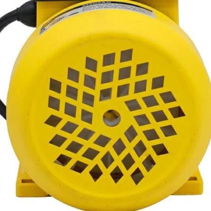 Imagem de Bomba de Água Auto Aspirante Ferrari 1/2CV TPS-60 Bivolt 360945