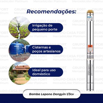 Imagem de Bomba De Água Submersa Caneta Palito 1/3cv Dongyn 3000lt/h