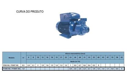 Imagem de Bomba Hydrobloc KSB P1000NG 1cv Monofásica 127/220v