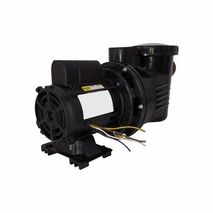 Imagem de Bomba Piscina Dancor PF-17 1/4CV 110/220V Motor WEG Monofásica - Até 18.000L