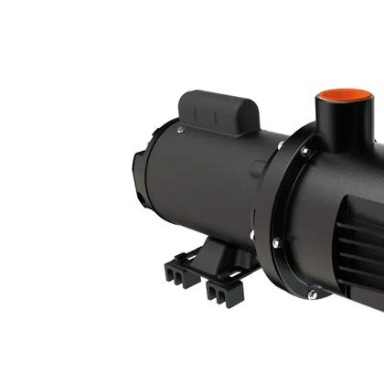Imagem de Bomba Piscina Dancor PF-17 1/4CV 110/220V Motor WEG Monofásica - Até 18.000L