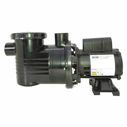 Imagem de Bomba Piscina Dancor PF-17 1CV 110/220V Monofásica Motor WEG - Até 88.000L