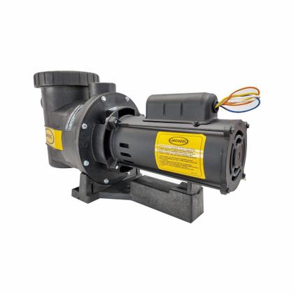 Imagem de Bomba Piscina Jacuzzi 2B-M 2,0CV 127/220V Monofásica