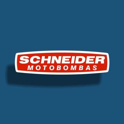 Imagem de Bomba Schneider Caneta Poço Artesiano 1,5cv 220v Painel Box