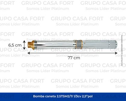 Imagem de Bomba Submersa Caneta Palito Mod 1/3cv 2 Fios Thebe Cano 75