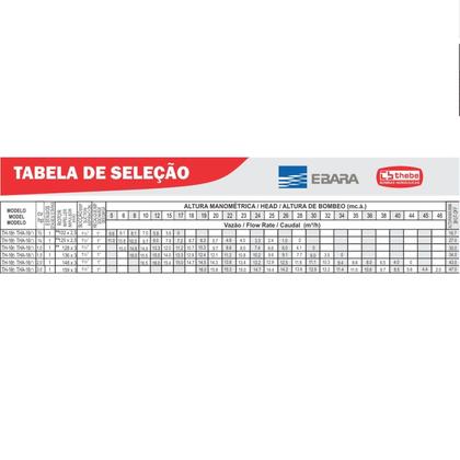 Imagem de Bomba Th-16 3,0 Cv Rotor 159mm Monofásico Motor Thebe Ip23 127/220-254