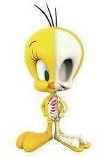 Imagem de Boneco Looney Tunes Piu Piu Tweety Xxray - Ed. Limitada