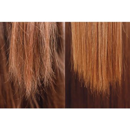 Imagem de Borabella Progressiva Perfecta 250ml + Óleo de Argan 60ml