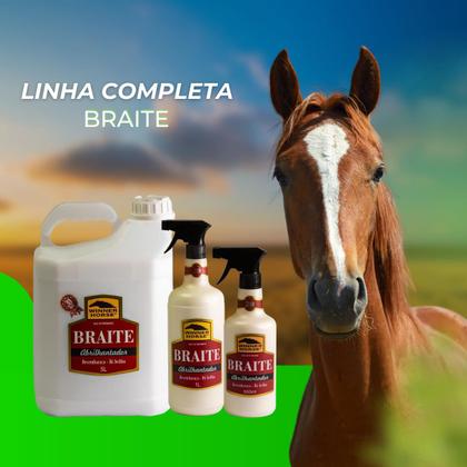 Imagem de Braite Abrilhantador C/ Aplicador Winner Horse 500ml 