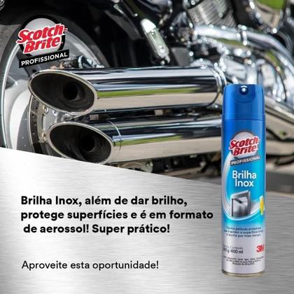 Imagem de Brilha Inox Limp. Profissional + Scoth Brite Fibra Macia 3M