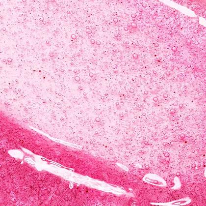 Imagem de Brilho Labial Too Faced Kissing Jelly Gloss 4,5ml