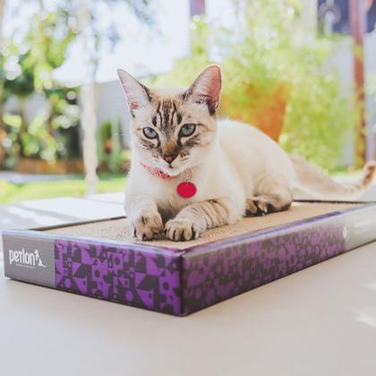 Imagem de Brinquedo Arranhador De Papelão Para Gatos Gatinhos Pets + Catnip Erva do Gato Cat Nip Relaxante 100% Natural Poste Protetor Sofá Cama Cortina Petlon