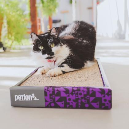 Imagem de Brinquedo Arranhador De Papelão Para Gatos Gatinhos Pets + Catnip Erva do Gato Cat Nip Relaxante 100% Natural Poste Protetor Sofá Cama Cortina Petlon