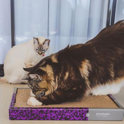 Imagem de Brinquedo Arranhador De Papelão Para Gatos Gatinhos Pets + Catnip Erva do Gato Cat Nip Relaxante 100% Natural Poste Protetor Sofá Cama Cortina Petlon