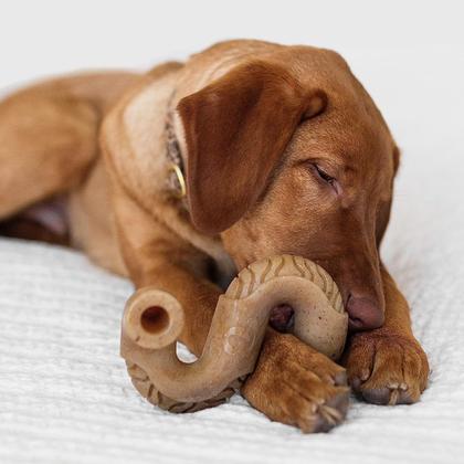 Imagem de Brinquedo Benebone Tripe Bone Osso de Nylon para Cachorro Grande