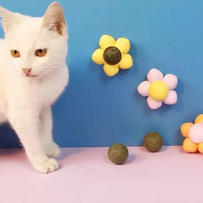 Imagem de Brinquedo Bola Interativo Com Catnip Cola Na Parede Chão