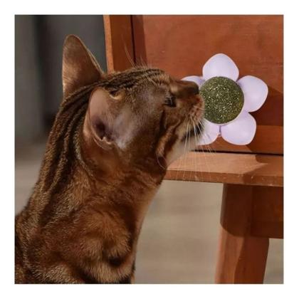 Imagem de Brinquedo Bola Interativo Com Catnip Cola Na Parede Chão