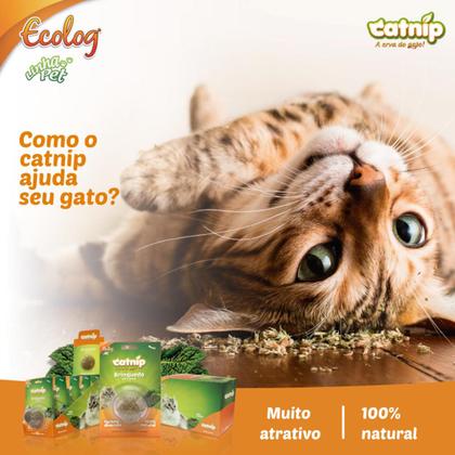 Imagem de Brinquedo Bolinha De Catnip Para Gatos Pets Erva Relaxante Natural Cat Nip Interativo Evita Sofa Cama Cortina Ecolog