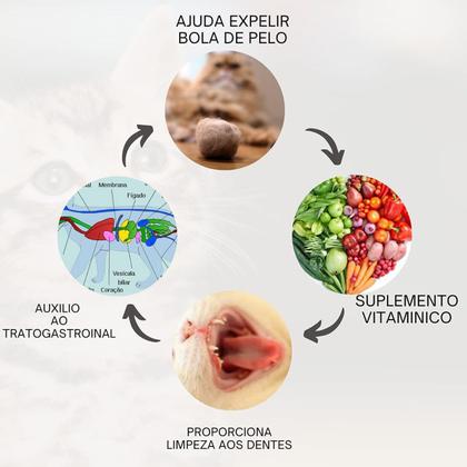 Imagem de Brinquedo Bolinha De Catnip Para Gatos Pets Erva Relaxante Natural Cat Nip Interativo Evita Sofa Cama Cortina Ecolog