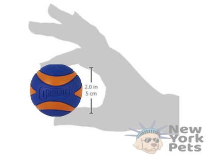 Brinquedo Chuckit Ultra Squeaker Ball Com Apito Para Cachorro Pequeno - Chuckit! Imagem de Brinquedo Chuckit Ultra Squeaker Ball Com Apito Para Cachorro Pequeno