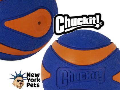 Brinquedo Chuckit Ultra Squeaker Ball Com Apito Para Cachorro Pequeno - Chuckit! Imagem de Brinquedo Chuckit Ultra Squeaker Ball Com Apito Para Cachorro Pequeno